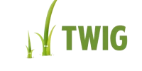 Twig